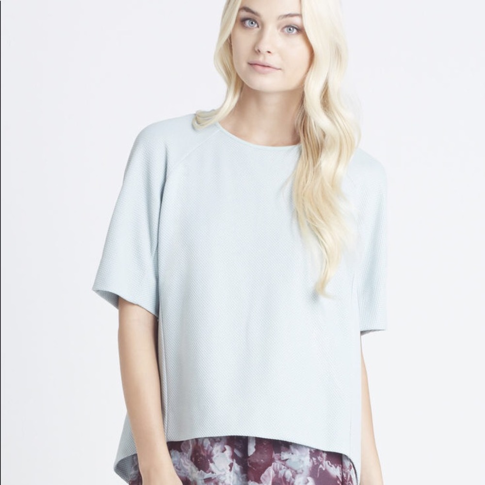 BCBG Boxy Raglan Top